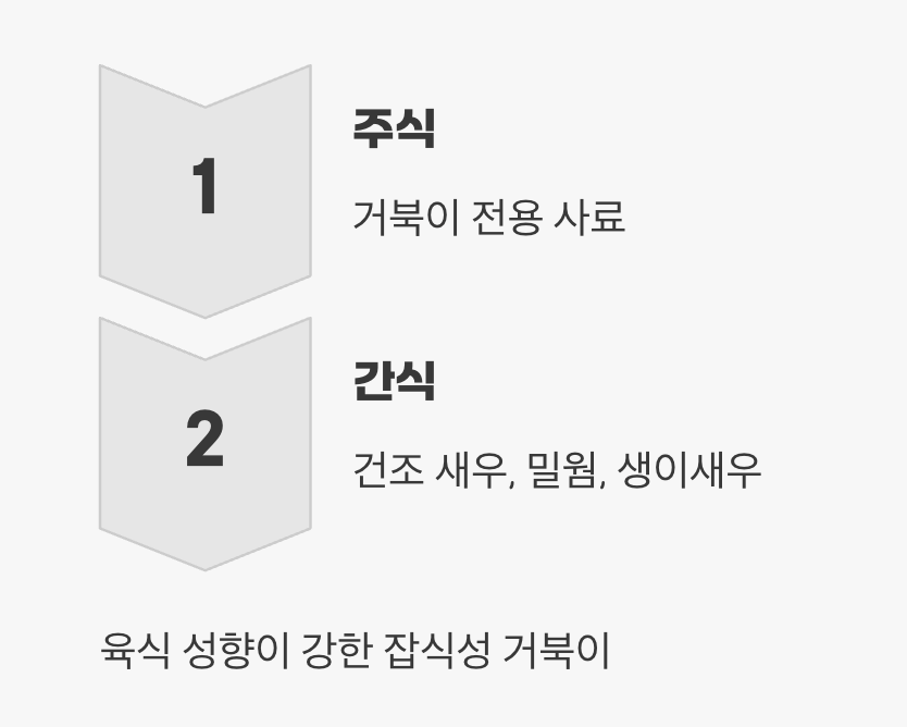 &amp;#39;육식&amp;#39;을 즐기는 미식가 (먹이)