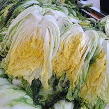 롯데마트 절임배추 예약 2025