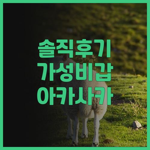 호텔 힐러리스 아카사카 솔직 후기! ..