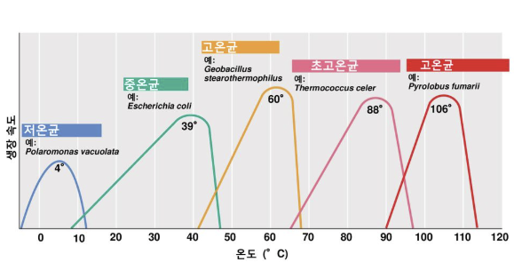온도에 따른 미생물 분류 및 활용 (저온성, 중온성, 고온성)