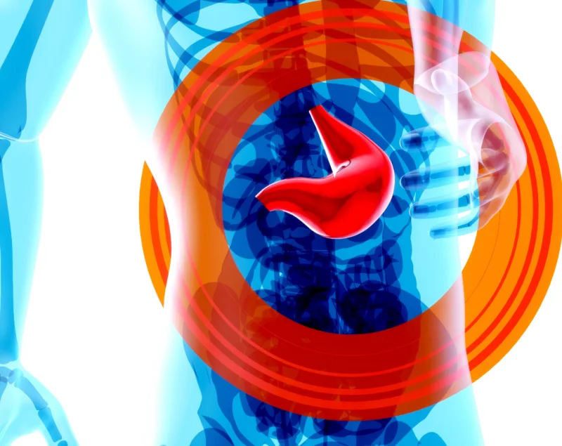 밀크시슬 복용시간