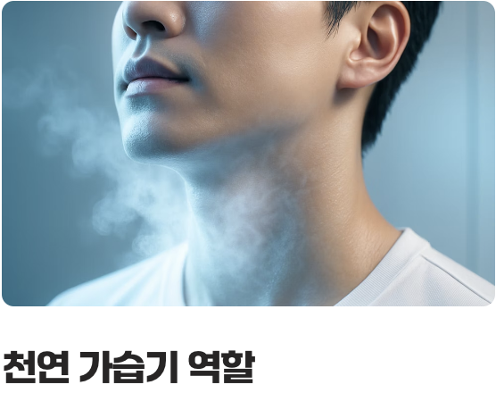 목 안의 청소부, 사포닌의 힘