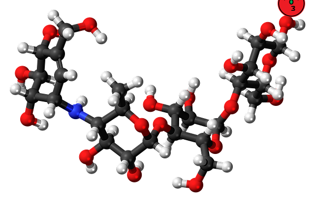 당뇨에 좋은 과일