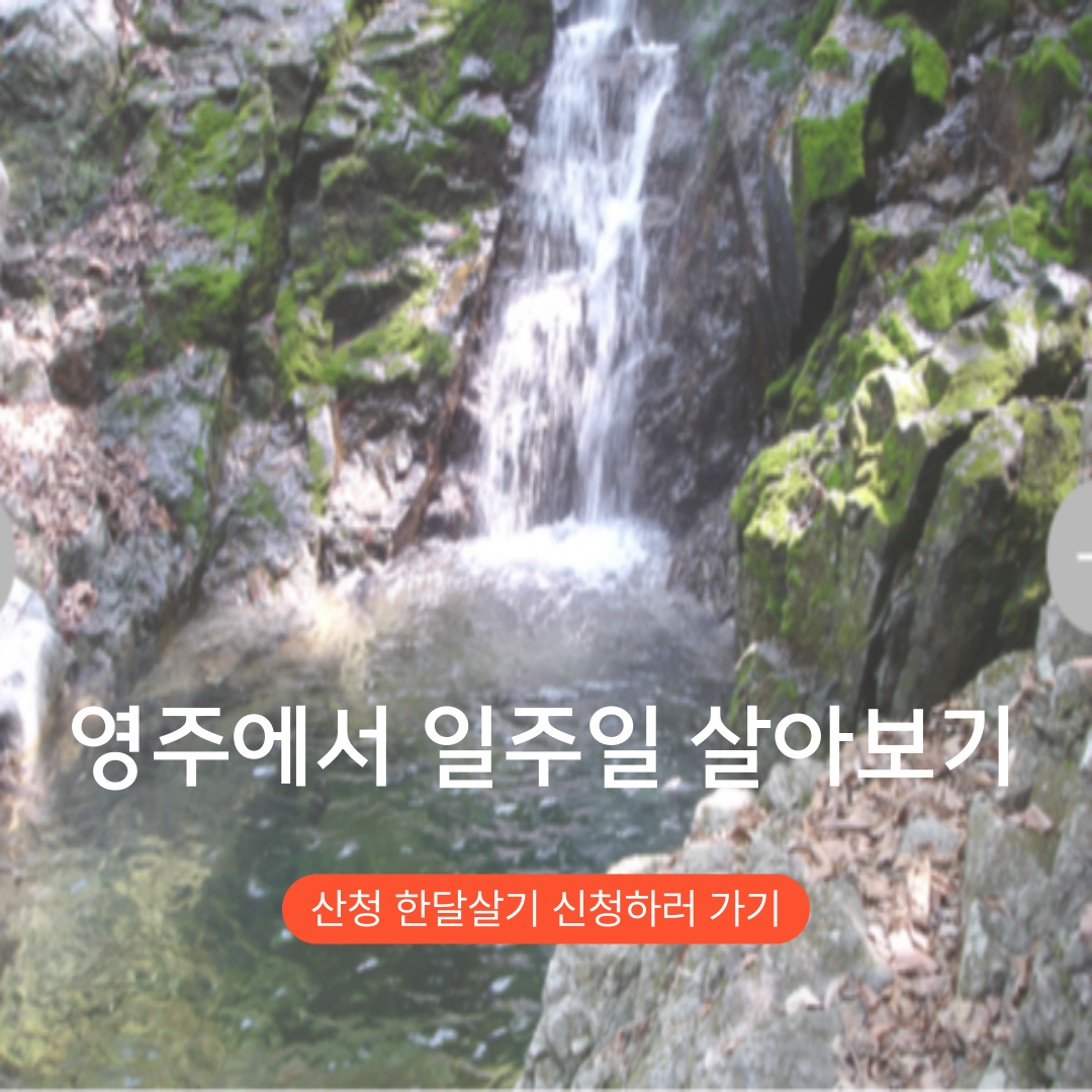 2025 경상북도 영주 3박~일주일살기 여행지원금 관련 사진