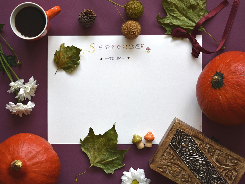 약산성 화장품과 pH 밸런스: 건강한 피부의 열쇠