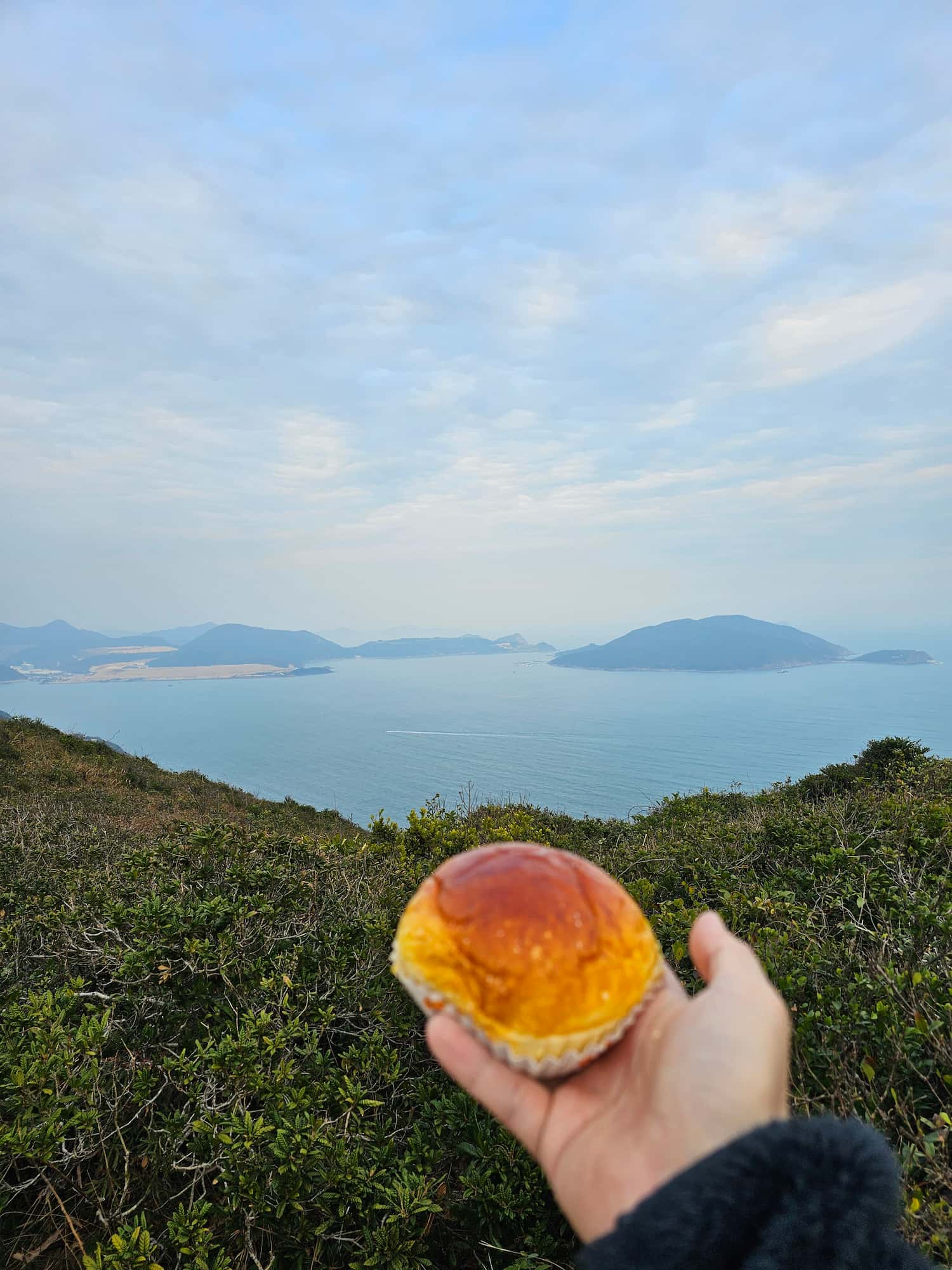 드래곤즈 백 후기