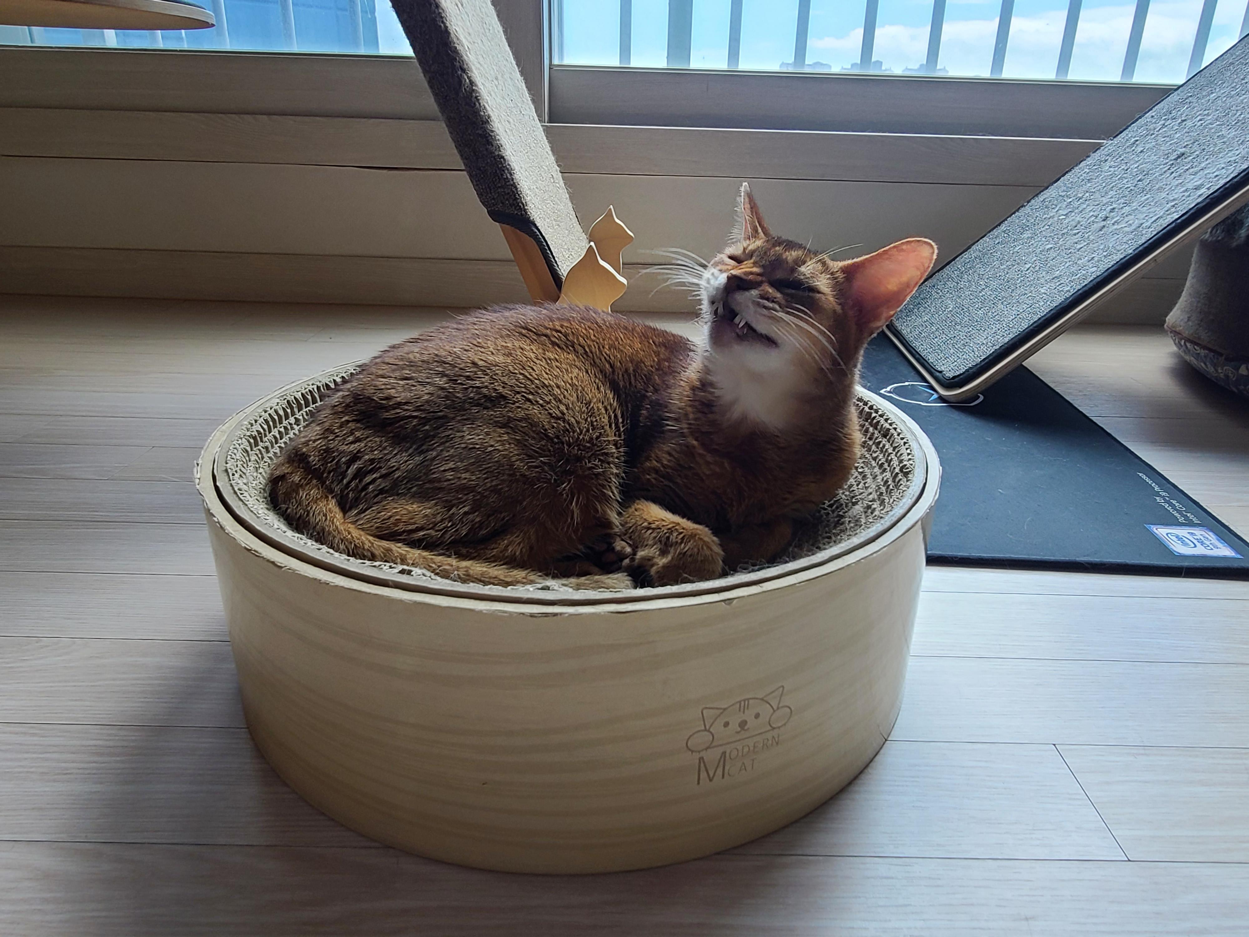 요즘 부쩍 인기가 높아진 '동 to the 그 to the 라미' 스크래쳐!