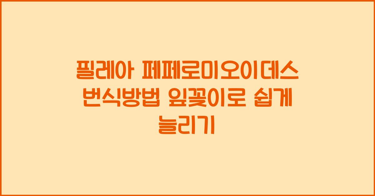 필레아 페페로미오이데스 번식방법 잎꽂이