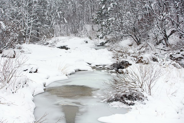 🎄 2025 홍대 크리스마스 가볼만한곳 총정리! 연남동 데이트 & AK플라자 팝업 (주차/놀거리) 🎄
