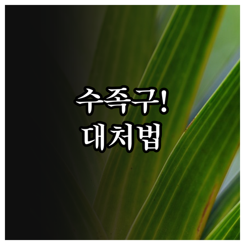 부산 서구 수족구 병원 위치와 증상 ..