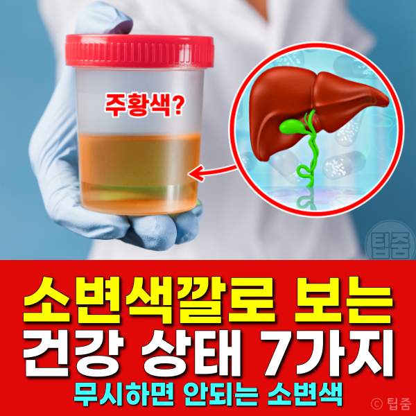 소변색깔 건강상태,갈색 연두색 형광색 주황색 검은색 황갈색 분홍색 파란색,소변색깔이 뿌옇다
