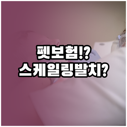 펫보험 치과 보장, 스케일링과 발치 ..