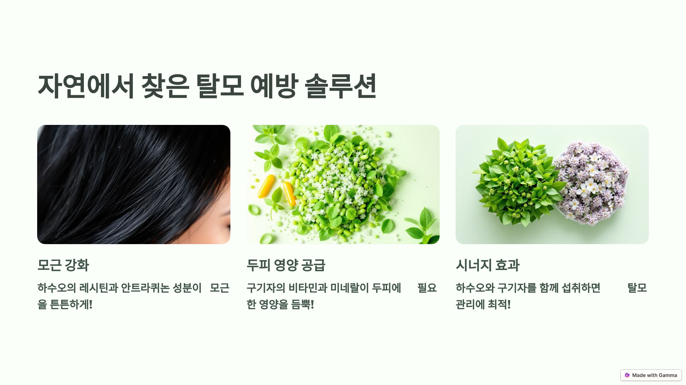 자연에서 찾은 탈모예방 솔루션