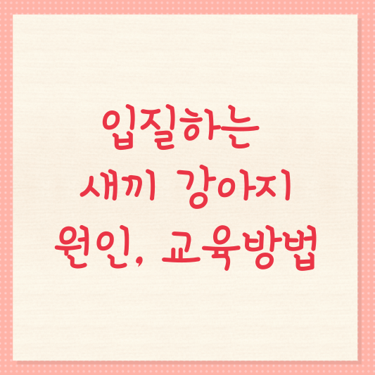 입질하는 새끼강아지원인, 교육방법