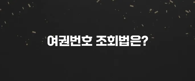 내 여권번호 잊었다면? 간단 조회 방법 (온라인 가능?)