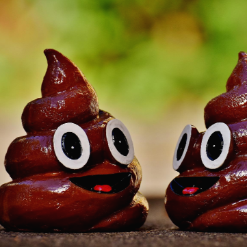 동그란 눈이 달린 두 개의 똥 모형