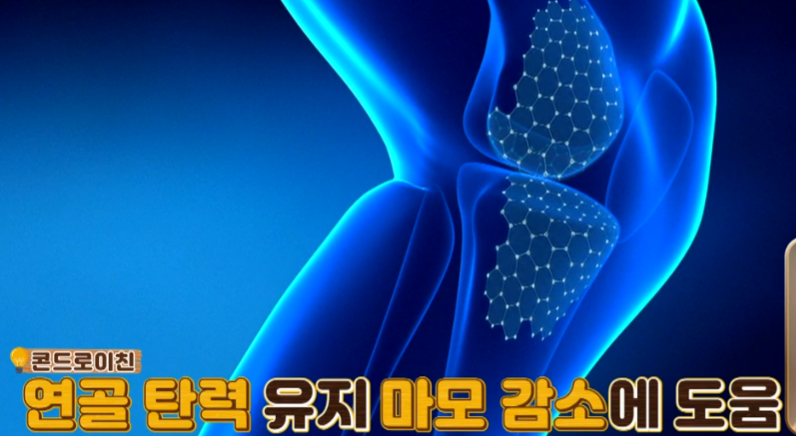 콘드로이친