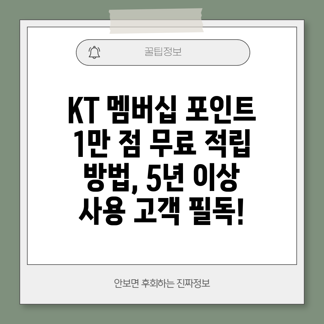 KT 멤버십 포인트 1만 점 무료 적립 방법, 5년 이