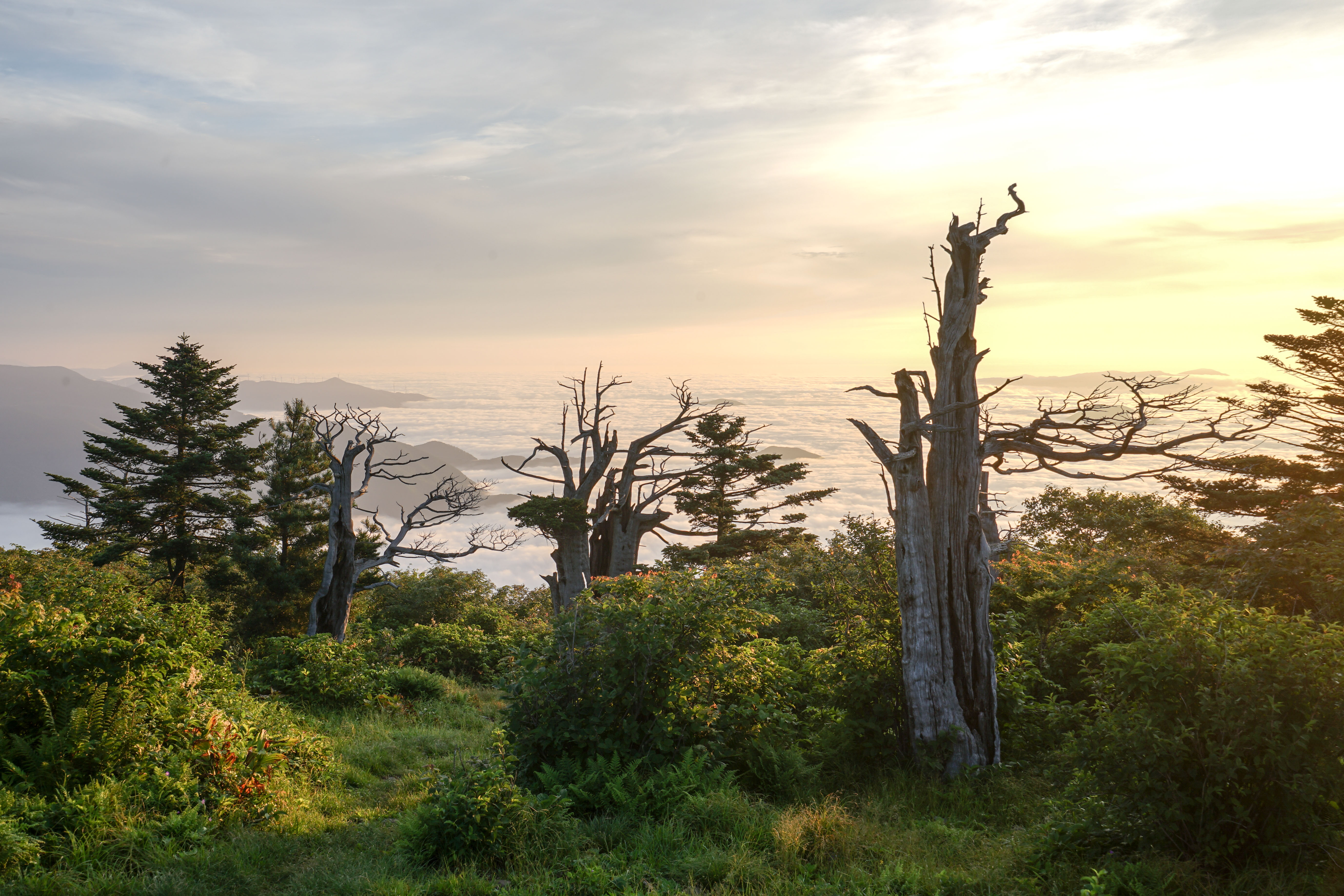 태백 가볼만한곳 : 태백산 국립공원