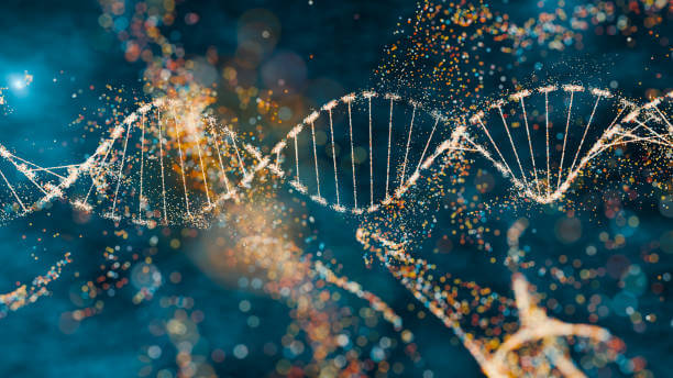DNA 복제의 원리 – 생명의 청사진을 복사하는 정밀한 공정