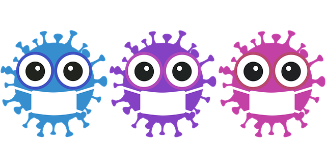 코로나19관련 이미지 자료