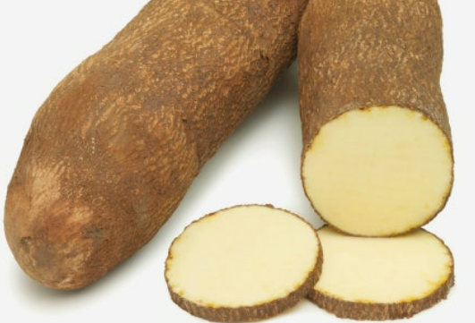 마 효능과 위장 보호 뮤신 성분 분석