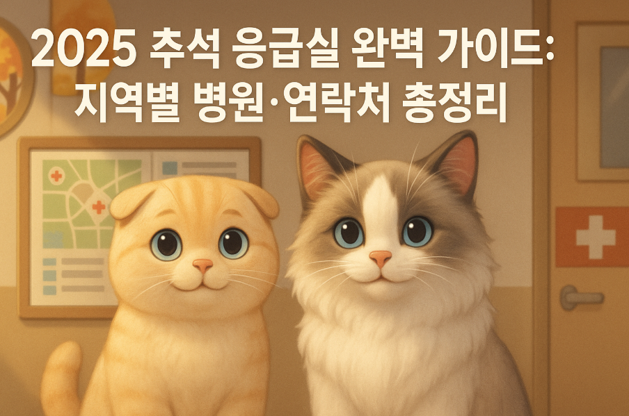 2025 추석 응급실 완벽 가이드: 지역별 병원·연락처 총정리