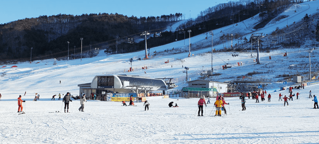 초급자가 이용하거나 강습받기 좋은 스키장