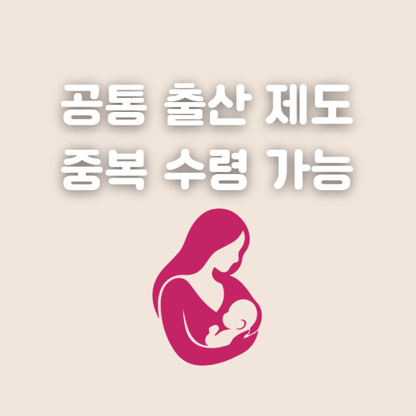 소상공인 출산지원금, 공통 출산 제도 중복수령 가능