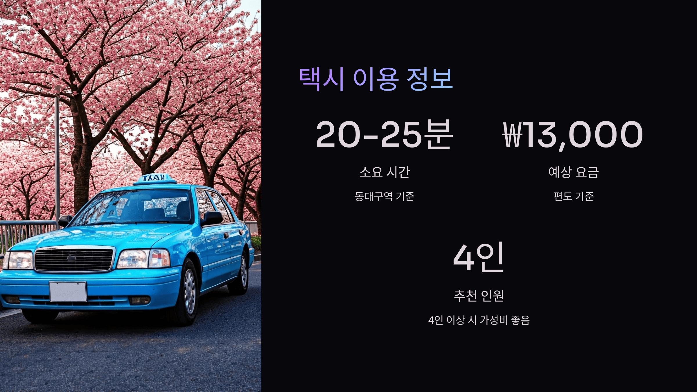 대구 이월드 벚꽃 축제, 교통·주차 완벽 가이드
