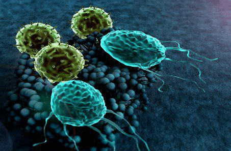 장마철-집안습기-제거방법