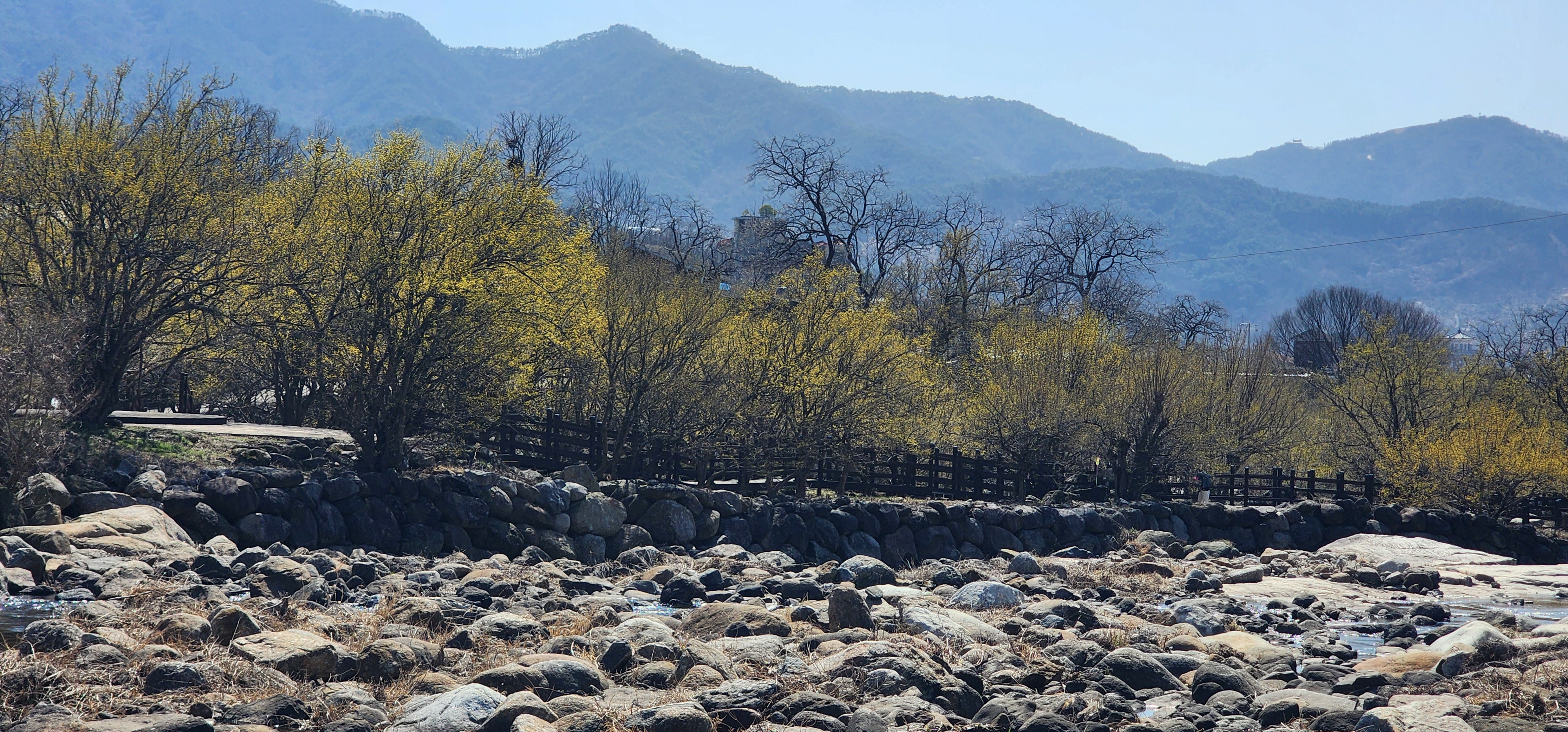 산수유축제 반곡마을