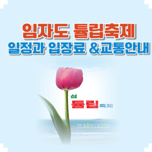 튤립축제 사진