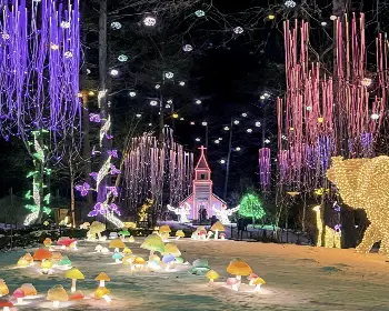 아침고요수목원_20