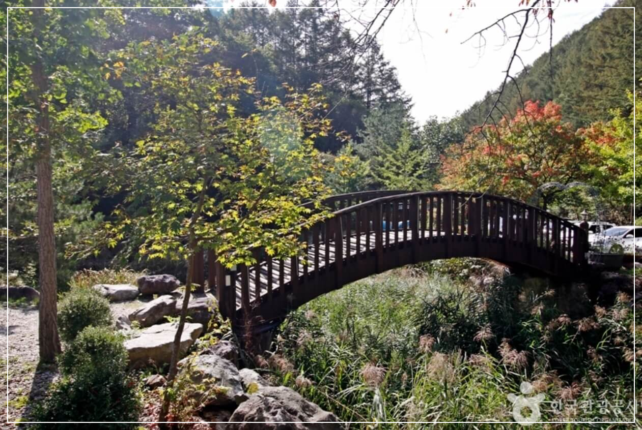 무주 가볼만한곳 베스트10 덕유산 자연휴양림