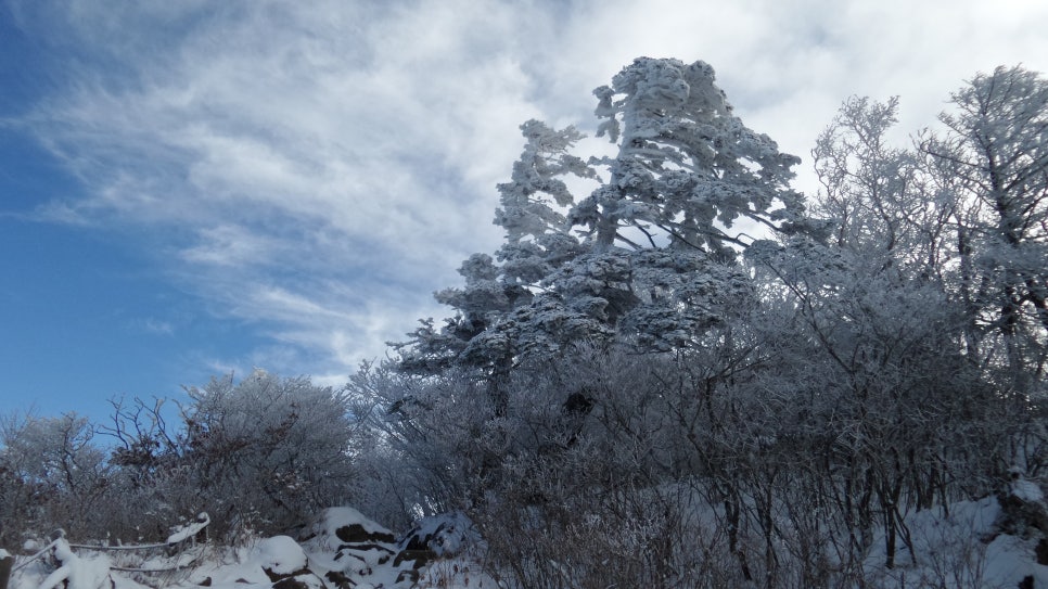 100대명산 등산하기 세번째 지리산(智異山) 은 대한민국을 대표하는 명산이자, 우리 민족의 정신이 깃든 산 남한의 최고 명산 천왕봉의 산