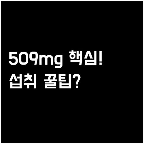 프랑스 유기농 셀게이트 올라이브 폴리..