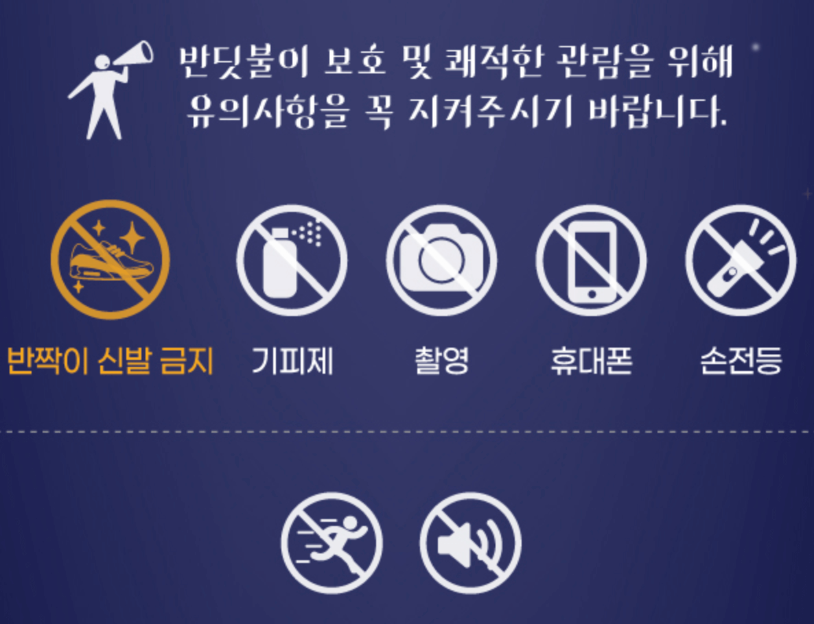 화담숲 반딧불이 이벤트