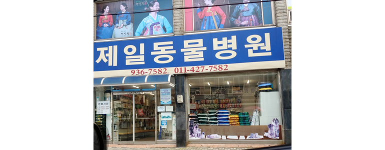 보령시 동물병원