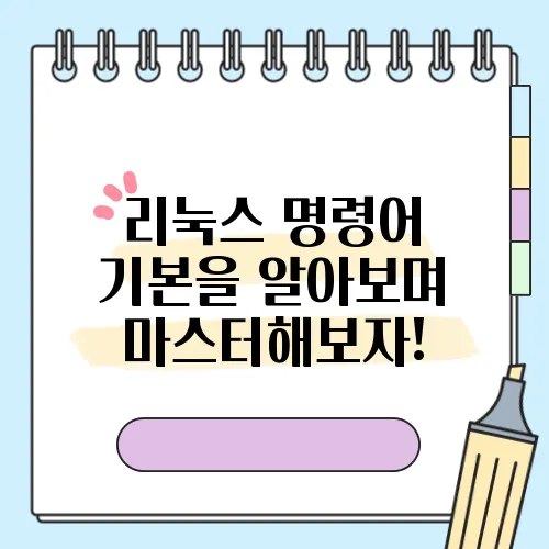 리눅스 명령어 기본을 알아보며 마스터해보자!