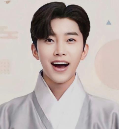 임영웅 대전 콘서트