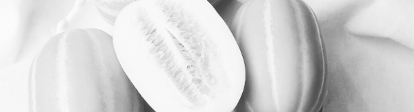 참외 순치기 방법