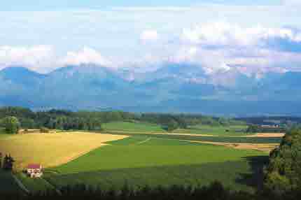 후라노 & 비에이 여행 가이드