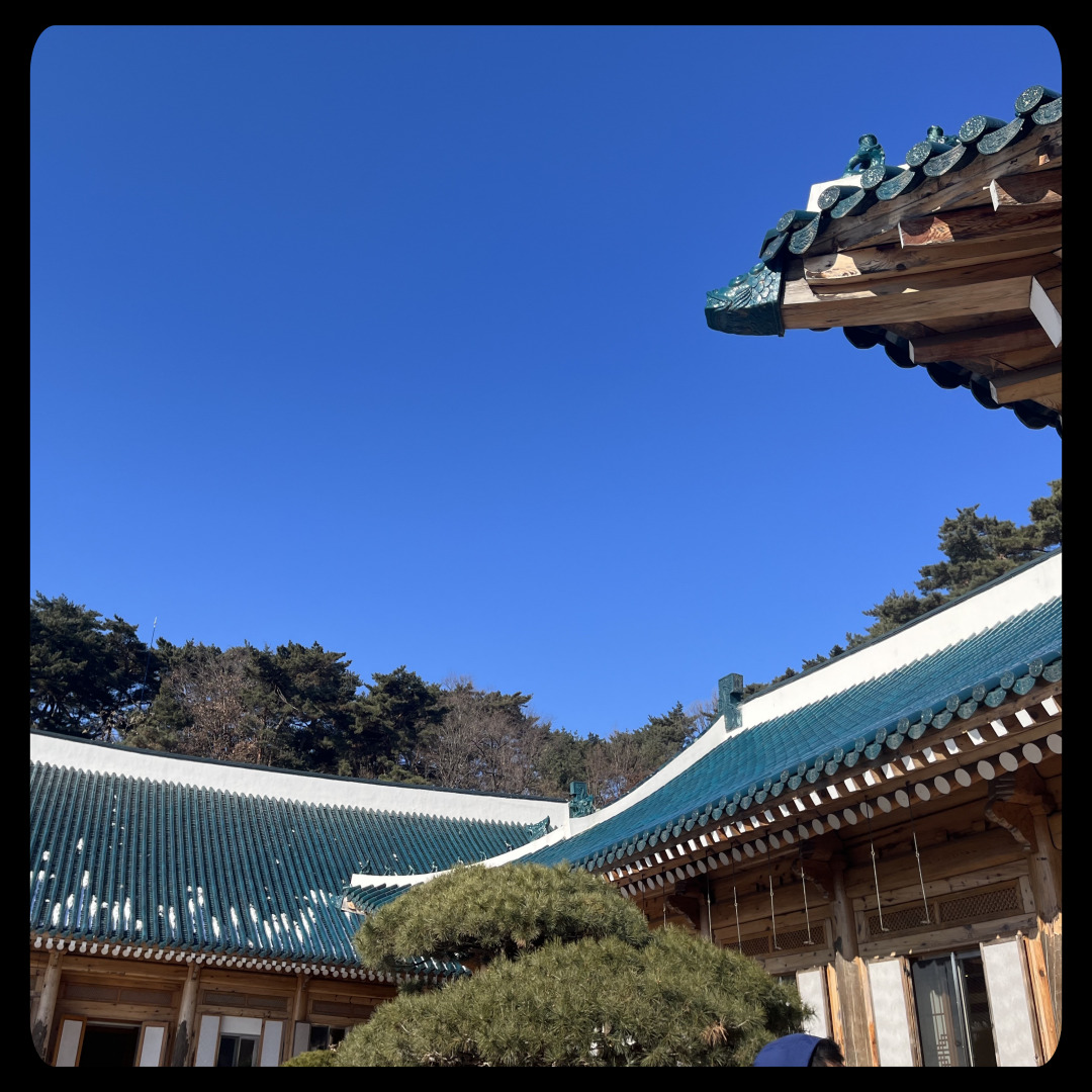 청와대 관람 예약 방법