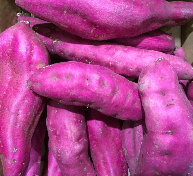 깨끗하게 세척된 고구마들이 담겨있다