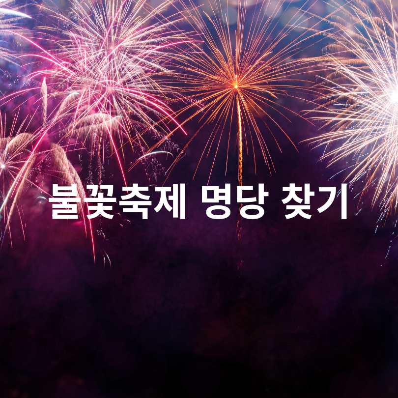 2025 여의도 불꽃축제 명당 &amp; 준비물 총정리