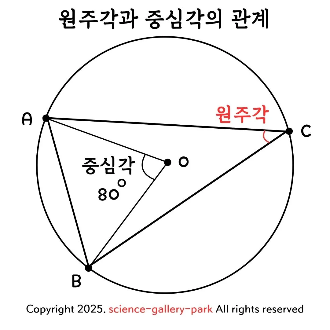 원주각과 중심각의 관계