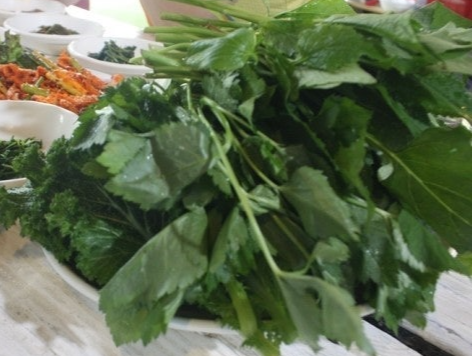 강원도 산나물 쌈밥