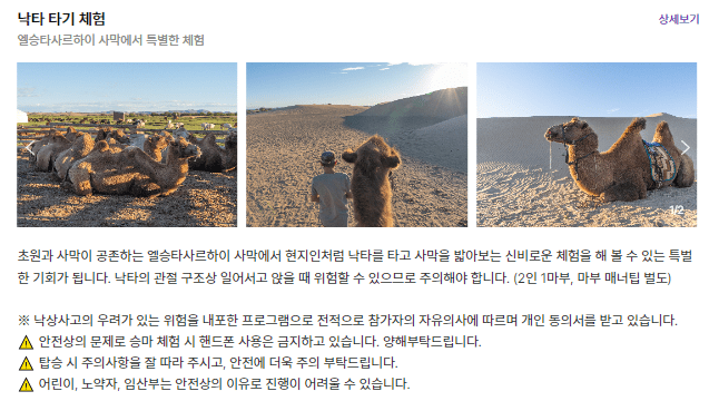 낙타 타기 체험