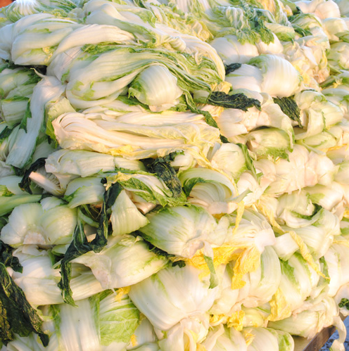 절임배추 물빼는 과정